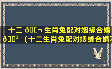 十二 🐬 生肖兔配对姻缘合婚 🐳 （十二生肖兔配对姻缘合婚不合）